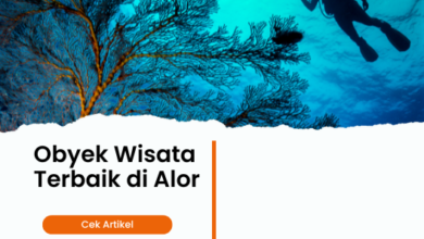 Obyek Wisata Terbaik di Alor